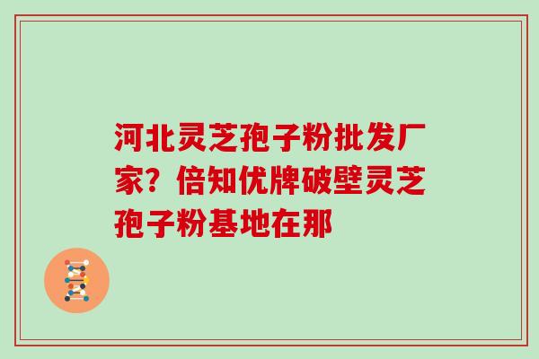 河北灵芝孢子粉批发厂家？倍知优牌破壁灵芝孢子粉基地在那
