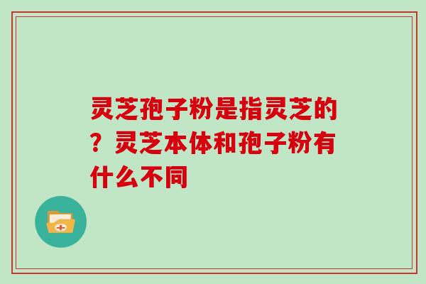 灵芝孢子粉是指灵芝的?灵芝本体和孢子粉有什么不同 灵芝孢子粉是指灵芝的?灵芝本体和孢子粉有什么不同