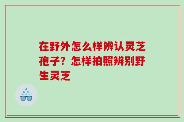 在野外怎么样辨认灵芝孢子?怎样拍照辨别野生灵芝 在野外怎么样辨认灵芝孢子?怎样拍照辨别野生灵芝