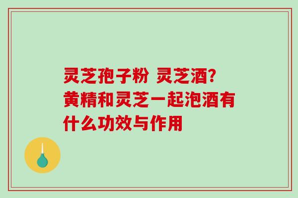 灵芝孢子粉 灵芝酒?黄精和灵芝一起泡酒有什么功效与作用 灵芝孢子粉 灵芝酒?黄精和灵芝一起泡酒有什么功效与作用