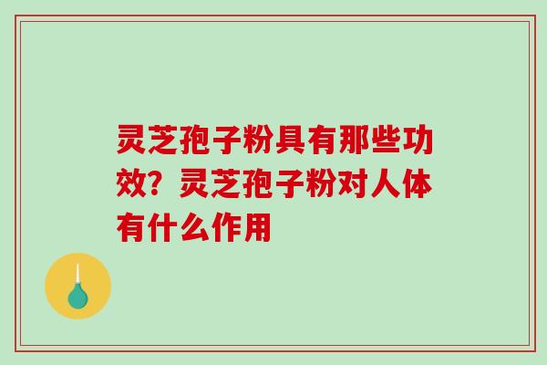 灵芝孢子粉具有那些功效?灵芝孢子粉对人体有什么作用 灵芝孢子粉具有那些功效?灵芝孢子粉对人体有什么作用