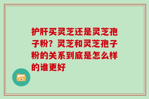 买灵芝还是灵芝孢子粉?灵芝和灵芝孢子粉的关系到底是怎么样的谁更好 买灵芝还是灵芝孢子粉?灵芝和灵芝孢子粉的关系到底是怎么样的谁更好