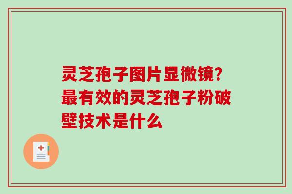 灵芝孢子图片显微镜?有效的灵芝孢子粉破壁技术是什么 灵芝孢子图片显微镜?有效的灵芝孢子粉破壁技术是什么