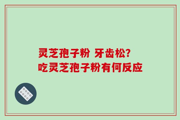 灵芝孢子粉 牙齿松?吃灵芝孢子粉有何反应 灵芝孢子粉 牙齿松?吃灵芝孢子粉有何反应
