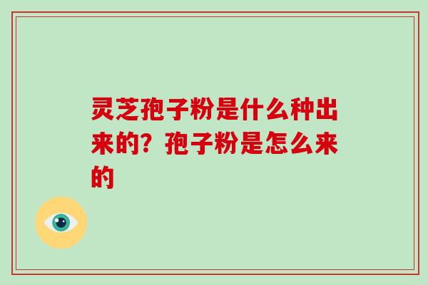 灵芝孢子粉是什么种出来的?孢子粉是怎么来的 灵芝孢子粉是什么种出来的?孢子粉是怎么来的