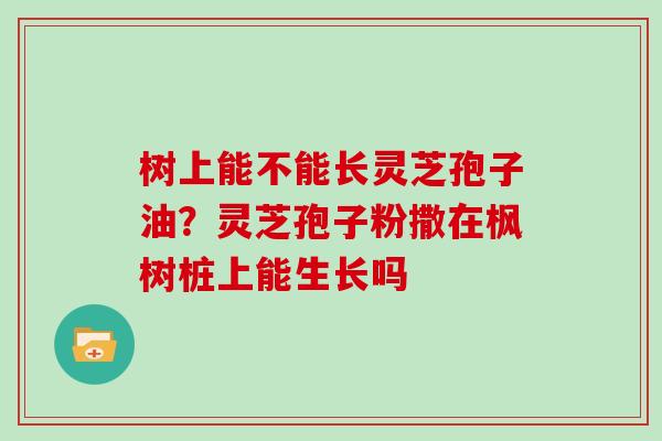 树上能不能长灵芝孢子油?灵芝孢子粉撒在枫树桩上能生长吗 树上能不能长灵芝孢子油?灵芝孢子粉撒在枫树桩上能生长吗