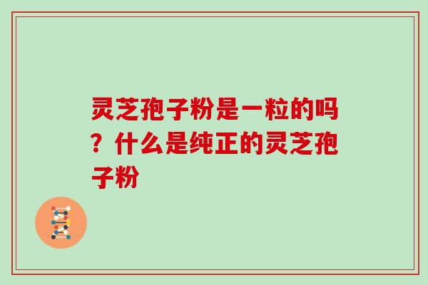 灵芝孢子粉是一粒的吗?什么是纯正的灵芝孢子粉 灵芝孢子粉是一粒的吗?什么是纯正的灵芝孢子粉