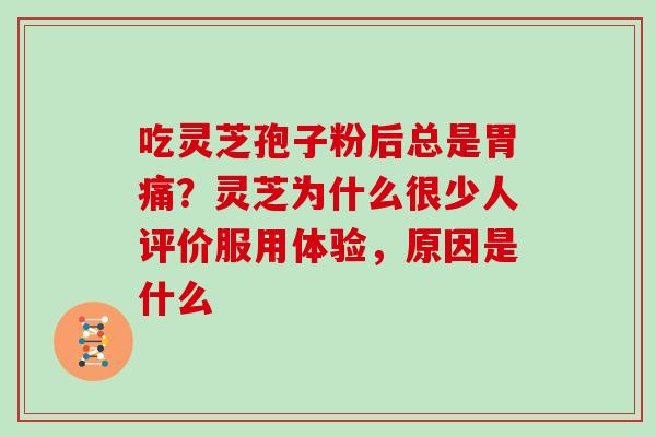 吃灵芝孢子粉后总是胃痛?灵芝为什么很少人评价服用体验,原因是什么 吃灵芝孢子粉后总是胃痛?灵芝为什么很少人评价服用体验,原因是什么
