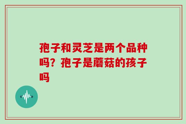 孢子和灵芝是两个品种吗?孢子是蘑菇的孩子吗 孢子和灵芝是两个品种吗?孢子是蘑菇的孩子吗