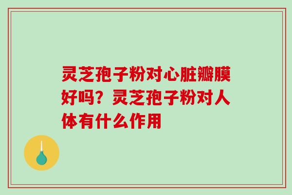 灵芝孢子粉对瓣膜好吗?灵芝孢子粉对人体有什么作用 灵芝孢子粉对瓣膜好吗?灵芝孢子粉对人体有什么作用