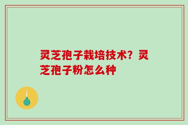 灵芝孢子栽培技术?灵芝孢子粉怎么种 灵芝孢子栽培技术?灵芝孢子粉怎么种