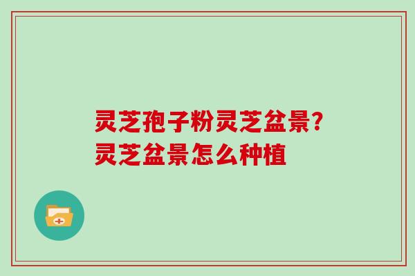 灵芝孢子粉灵芝盆景?灵芝盆景怎么种植 灵芝孢子粉灵芝盆景?灵芝盆景怎么种植