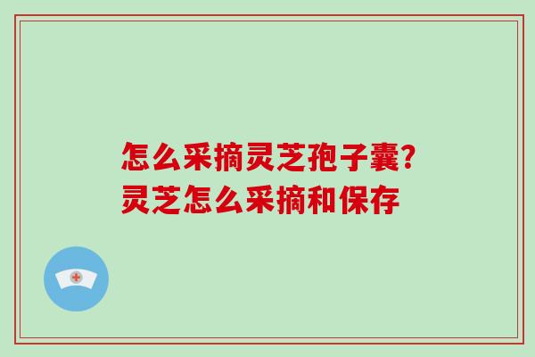 怎么采摘灵芝孢子囊？灵芝怎么采摘和保存