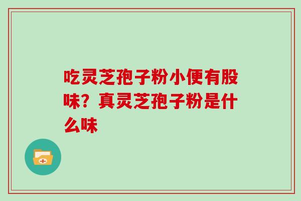 吃灵芝孢子粉小便有股味？真灵芝孢子粉是什么味