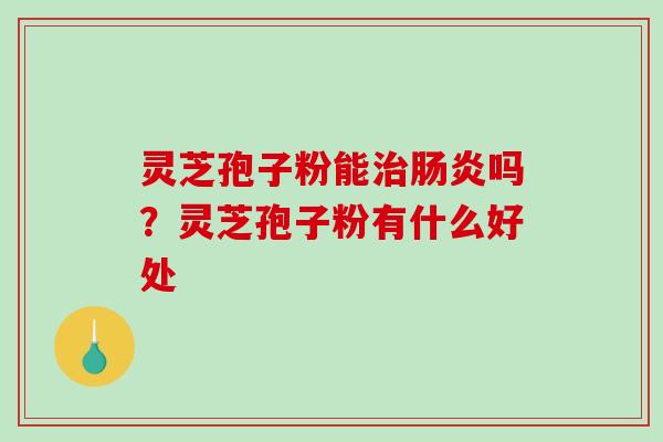 灵芝孢子粉能吗？灵芝孢子粉有什么好处