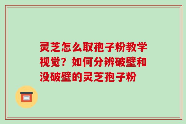 灵芝怎么取孢子粉教学视觉?如何分辨破壁和没破壁的灵芝孢子粉 灵芝怎么取孢子粉教学视觉?如何分辨破壁和没破壁的灵芝孢子粉