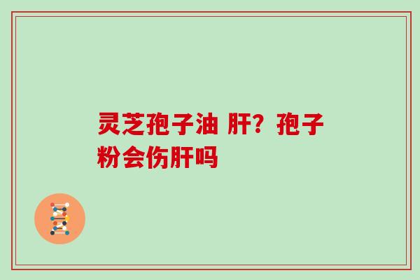 灵芝孢子油 ?孢子粉会伤吗 灵芝孢子油 ?孢子粉会伤吗