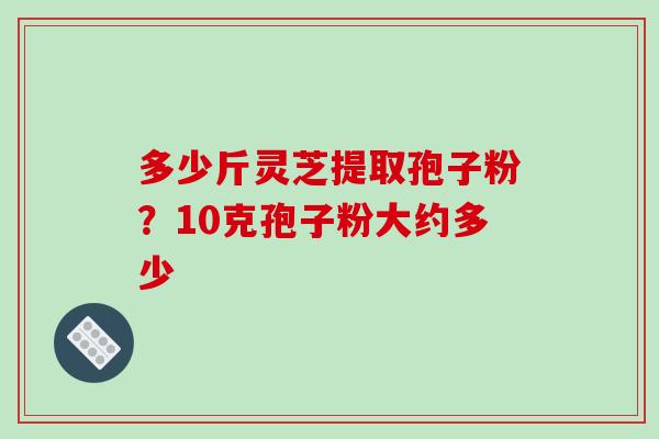 多少斤灵芝提取孢子粉?10克孢子粉大约多少 多少斤灵芝提取孢子粉?10克孢子粉大约多少