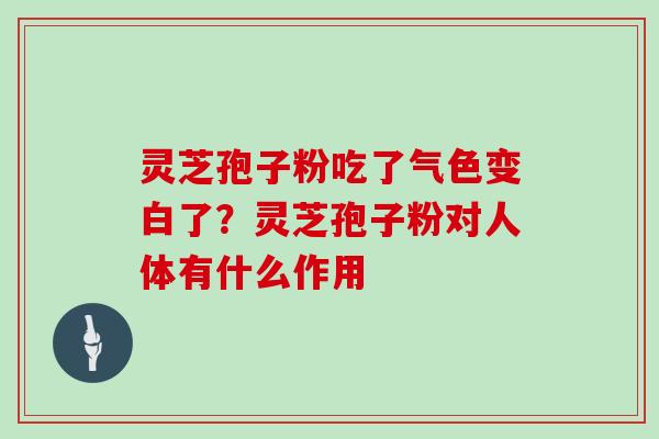 灵芝孢子粉吃了气色变白了?灵芝孢子粉对人体有什么作用 灵芝孢子粉吃了气色变白了?灵芝孢子粉对人体有什么作用