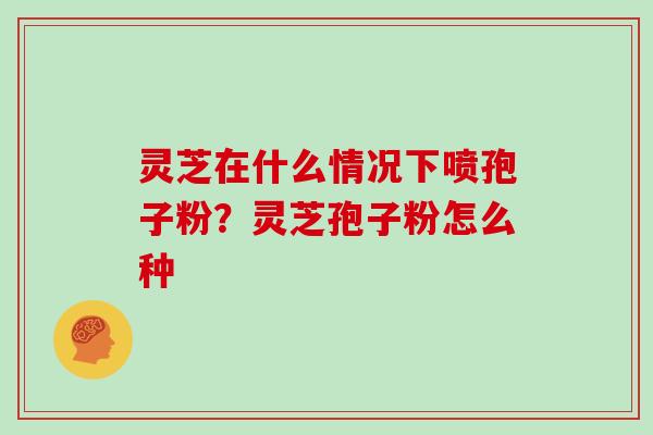 灵芝在什么情况下喷孢子粉?灵芝孢子粉怎么种 灵芝在什么情况下喷孢子粉?灵芝孢子粉怎么种