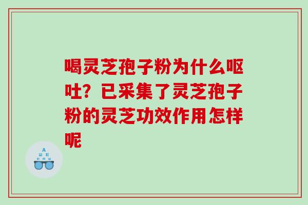喝灵芝孢子粉为什么?已采集了灵芝孢子粉的灵芝功效作用怎样呢 喝灵芝孢子粉为什么?已采集了灵芝孢子粉的灵芝功效作用怎样呢