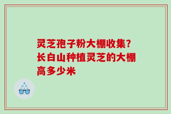 灵芝孢子粉大棚收集?长白山种植灵芝的大棚高多少米 灵芝孢子粉大棚收集?长白山种植灵芝的大棚高多少米