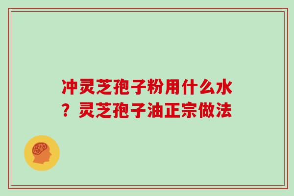 冲灵芝孢子粉用什么水?灵芝孢子油正宗做法 冲灵芝孢子粉用什么水?灵芝孢子油正宗做法