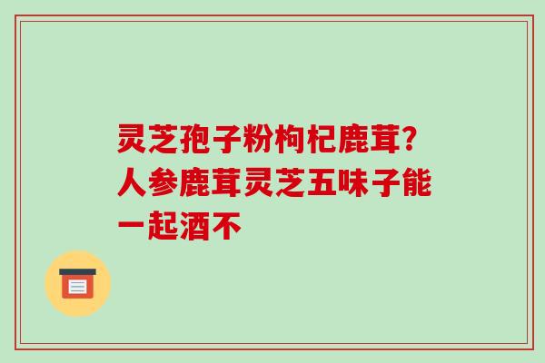 灵芝孢子粉枸杞鹿茸?人参鹿茸灵芝五味子能一起酒不 灵芝孢子粉枸杞鹿茸?人参鹿茸灵芝五味子能一起酒不