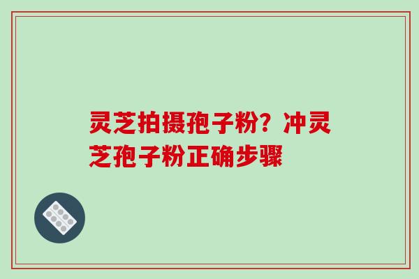 灵芝拍摄孢子粉？冲灵芝孢子粉正确步骤
