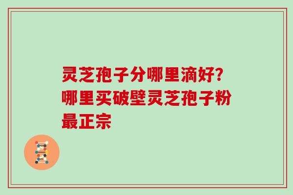 灵芝孢子分哪里滴好？哪里买破壁灵芝孢子粉正宗