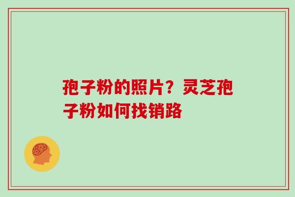 孢子粉的照片?灵芝孢子粉如何找销路 孢子粉的照片?灵芝孢子粉如何找销路