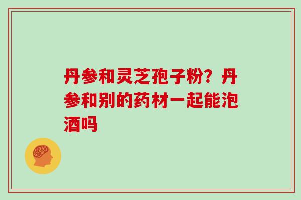 丹参和灵芝孢子粉?丹参和别的药材一起能泡酒吗 丹参和灵芝孢子粉?丹参和别的药材一起能泡酒吗