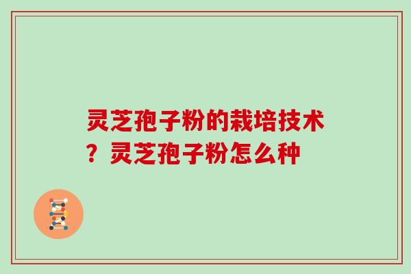 灵芝孢子粉的栽培技术?灵芝孢子粉怎么种 灵芝孢子粉的栽培技术?灵芝孢子粉怎么种