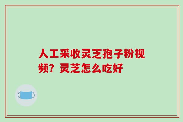人工采收灵芝孢子粉视频?灵芝怎么吃好 人工采收灵芝孢子粉视频?灵芝怎么吃好