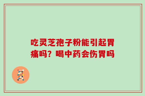 吃灵芝孢子粉能引起胃痛吗?喝会伤胃吗 吃灵芝孢子粉能引起胃痛吗?喝会伤胃吗