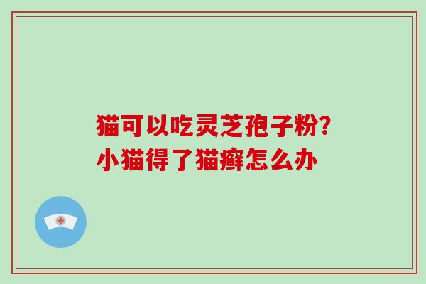 猫可以吃灵芝孢子粉?小猫得了猫癣怎么办 猫可以吃灵芝孢子粉?小猫得了猫癣怎么办