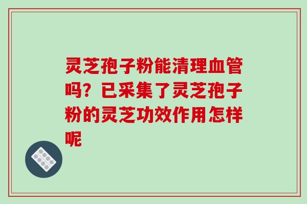 灵芝孢子粉能清理吗?已采集了灵芝孢子粉的灵芝功效作用怎样呢 灵芝孢子粉能清理吗?已采集了灵芝孢子粉的灵芝功效作用怎样呢