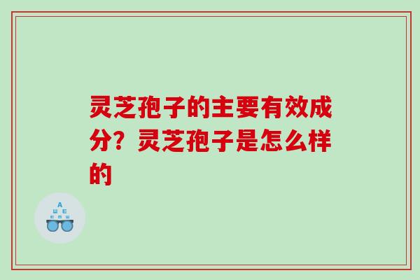 灵芝孢子的主要有效成分？灵芝孢子是怎么样的