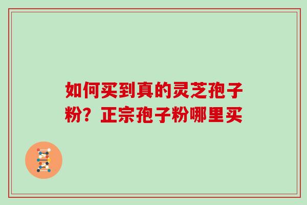 如何买到真的灵芝孢子粉?正宗孢子粉哪里买 如何买到真的灵芝孢子粉?正宗孢子粉哪里买