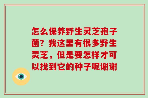 怎么保养野生灵芝孢子菌?我这里有很多野生灵芝,但是要怎样才可以找到它的种子呢谢谢 怎么保养野生灵芝孢子菌?我这里有很多野生灵芝,但是要怎样才可以找到它的种子呢谢谢