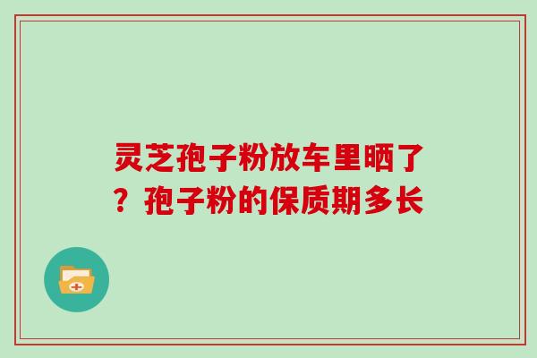 灵芝孢子粉放车里晒了?孢子粉的保质期多长 灵芝孢子粉放车里晒了?孢子粉的保质期多长