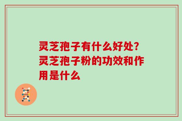 灵芝孢子有什么好处?灵芝孢子粉的功效和作用是什么 灵芝孢子有什么好处?灵芝孢子粉的功效和作用是什么