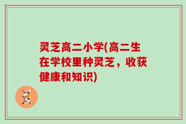灵芝高二小学(高二生在学校里种灵芝,收获健康和知识) 灵芝高二小学(高二生在学校里种灵芝,收获健康和知识)