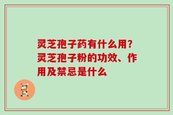 灵芝孢子药有什么用?灵芝孢子粉的功效、作用及禁忌是什么 灵芝孢子药有什么用?灵芝孢子粉的功效、作用及禁忌是什么