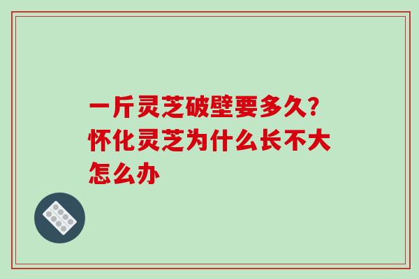 一斤灵芝破壁要多久?怀化灵芝为什么长不大怎么办 一斤灵芝破壁要多久?怀化灵芝为什么长不大怎么办