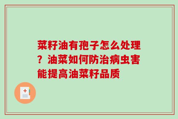 菜籽油有孢子怎么处理?油菜如何防虫害能提高油菜籽品质 菜籽油有孢子怎么处理?油菜如何防虫害能提高油菜籽品质