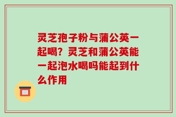 灵芝孢子粉与蒲公英一起喝?灵芝和蒲公英能一起泡水喝吗能起到什么作用 灵芝孢子粉与蒲公英一起喝?灵芝和蒲公英能一起泡水喝吗能起到什么作用