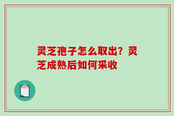 灵芝孢子怎么取出?灵芝成熟后如何采收 灵芝孢子怎么取出?灵芝成熟后如何采收