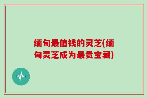 缅甸值钱的灵芝(缅甸灵芝成为贵宝藏) 缅甸值钱的灵芝(缅甸灵芝成为贵宝藏)