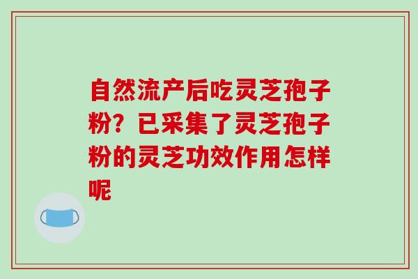 自然流产后吃灵芝孢子粉?已采集了灵芝孢子粉的灵芝功效作用怎样呢 自然流产后吃灵芝孢子粉?已采集了灵芝孢子粉的灵芝功效作用怎样呢